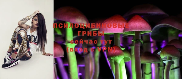 скорость Приозерск