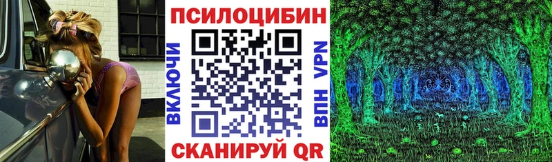 блэк спрут ссылка  Елец  Псилоцибиновые грибы Cubensis 