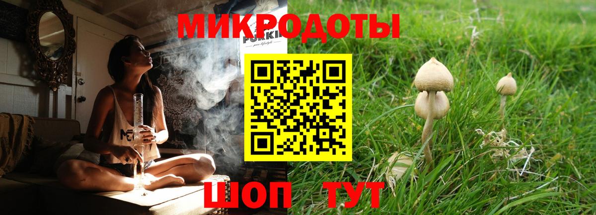 Галлюциногенные грибы мицелий Елец
